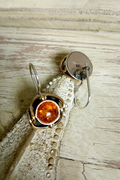 Minimas Et Cie. 925 Ayar Gümüş Ve Baltık Amberi Gizli Geçit Küpe 9710109030006