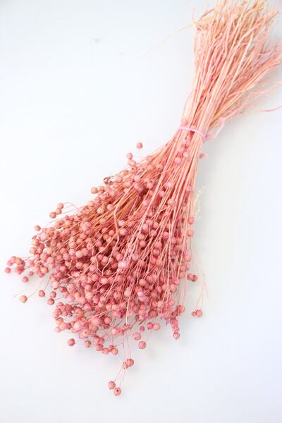 Yapay Çiçek Deposu Floare uscată Luna (in) Pulbere de iarbă 60gr