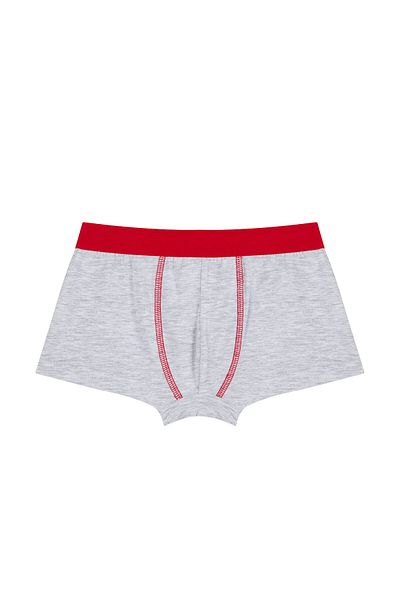 Penti Boy's Multicolored Bear 2 Pack Boxer