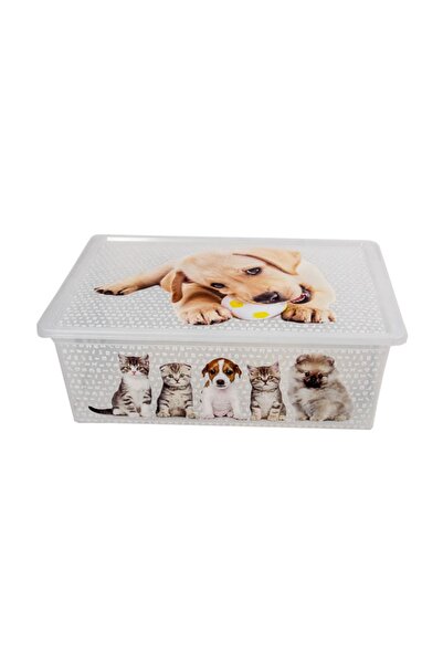 QUTU Light Box Cats And Dogs Şeffaf Dekoratif Saklama Ve Oyuncak Kutusu- 25 Litre