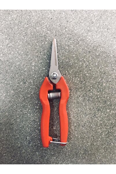 Meyve Toplama Narenciye Makası Düz Ağız  Çelik Ağız 19cm