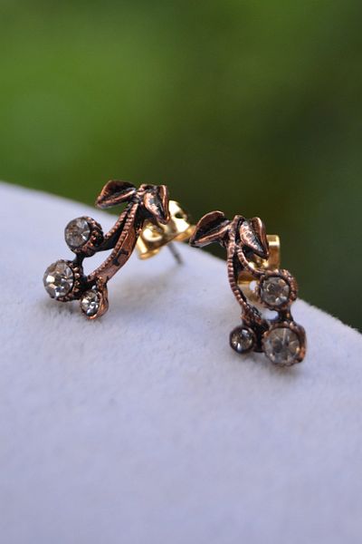 Stoneage Elegant Bronze Women's Earrings