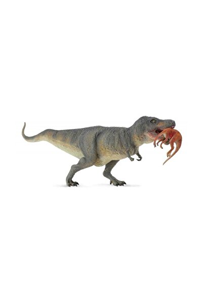 Collecta Tiranozaur și Avi
