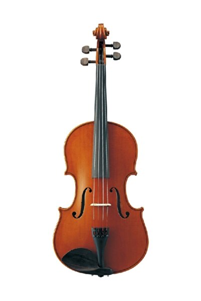 Va5s Viyola (16.5 Inc)