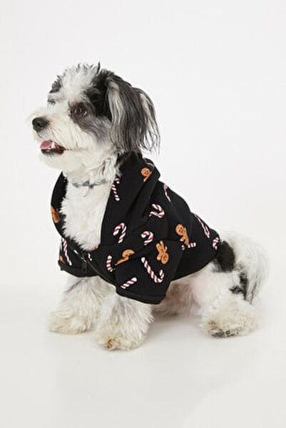 Koton Siyah Kapusonlu Kopek Sweatshirt Fiyati Yorumlari Trendyol