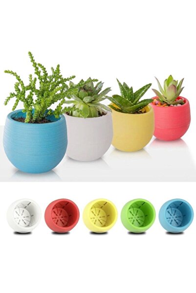 EMIR 6 Adet Mini Şeker Saksı Kaktüs Saksısı Elvan Saksı Minik Saksılar Küçük ...