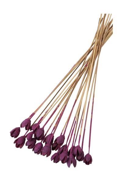 Yapay Çiçek Deposu 20 bucăți Bakuli On Steam Retro Erguvan