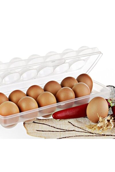 Titiz Eggo Yumurta Saklama Kabı  Şeffaf