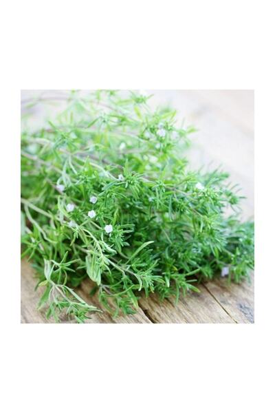 Ekodoğa Dağ Kekiği Tohumu 500 Gram Zahter Otu Kekik Tohumu Tıbbi Aromatik Bit...