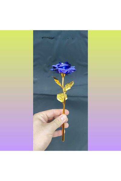 HKM Hobim Sevgililer Ve Anneler Gününe Özel, Dekoratif Solmayan Mat Mavi Renk Sonsuzluk Gülü