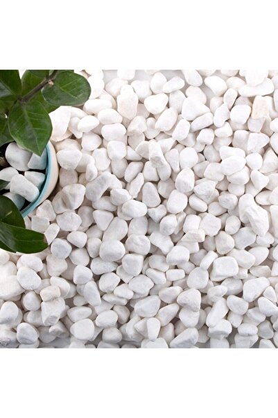 Ekodoğa Dolomit Taş 20 Kg 1-2 Cm Beyaz Dolomit Taş Saksı Dibi Dekoratif Taş T...