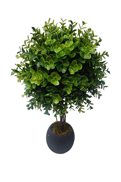 Cennet Home Okaliptüs Top Şimşir Balkon Ve Salon Çiçeği Çalılı Yapay Ağaç