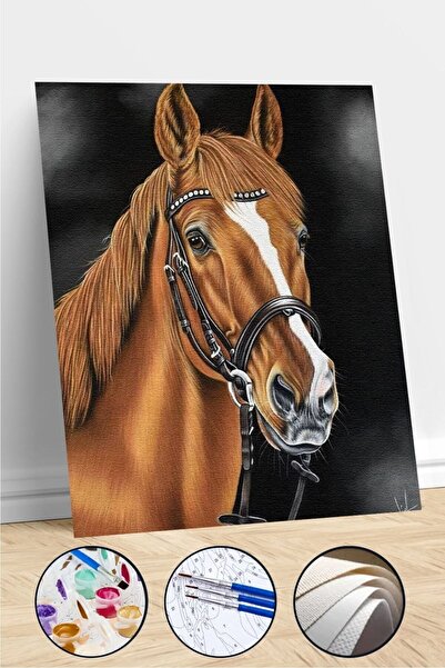 kendinyaphobi Sayılarla Boyama Seti Çerçeveli Kasnaklı Kahverengi At 40 x 50 cm