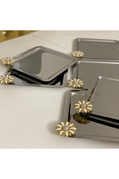 Elzem STAINLESS STEEL 6-PIECE SQUARE MODEL SERVICE AND PRESENTATION TRAY WITH FLOWER ACCESSORIES