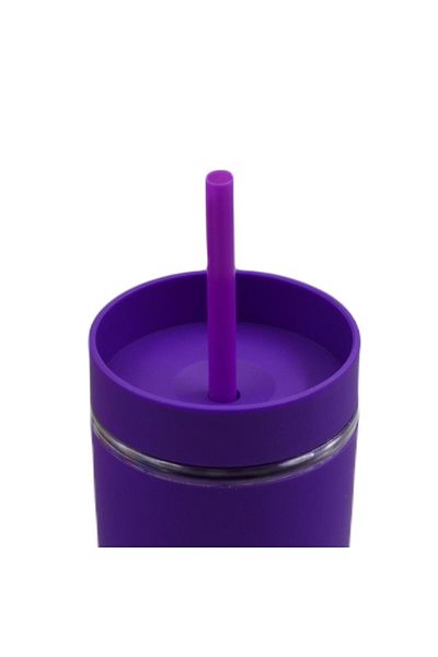 BottleBoss Double Layer Leak Proof Lid Cup Flask with Straw 480 Ml Purple