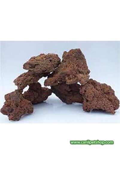 canlipetshop Dekoratif 10 Adet Doğal Lav Kaya Turuncu (8X10)