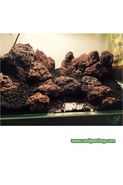 canlipetshop Dekoratif 10 Adet Doğal Lav Kaya Turuncu (8X10)