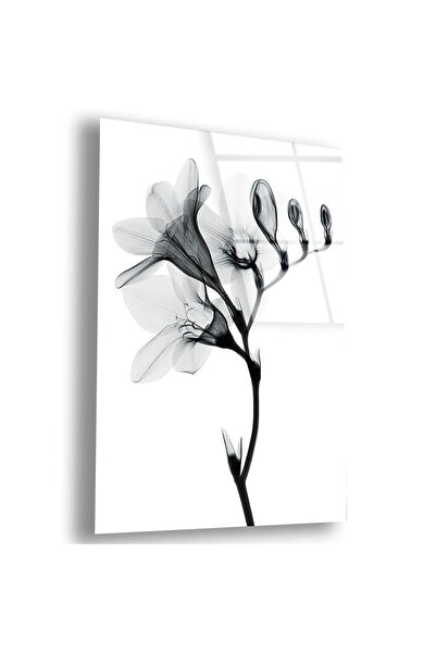 Zevahir Mobilya Dekorasyon Frameless Vertical White Background Collage Drawin...