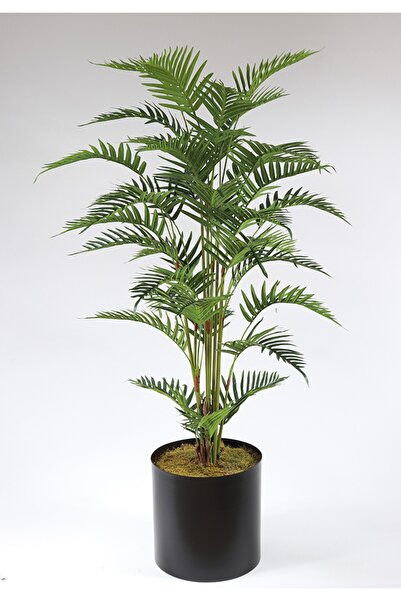 NS BAMBU DESIGN Yapay  kuru Çiçek Areka