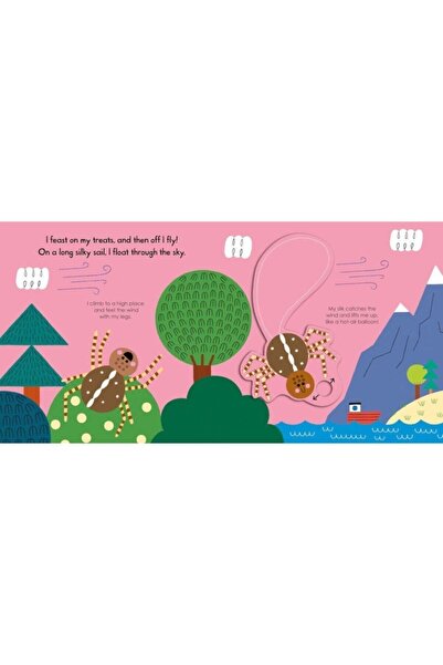 Pan Macmillan Spider (my Little Green World)