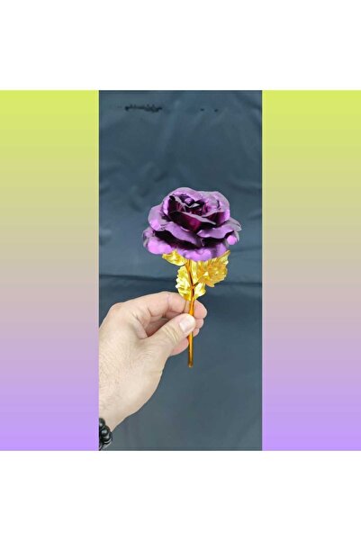 HKM Hobim لون أرجواني مزخرف غير لامع لا يبهت، لون وردي إنفينيتي، خاص لعيد الح...