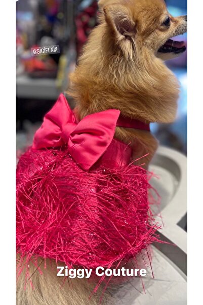 Genel Markalar PEMBE KÖPEK ELBİSE