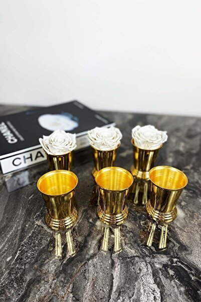 Selim Aras Home دلو ورد نحاسي مكون من 6 قطع مطلي بالتيتانيوم