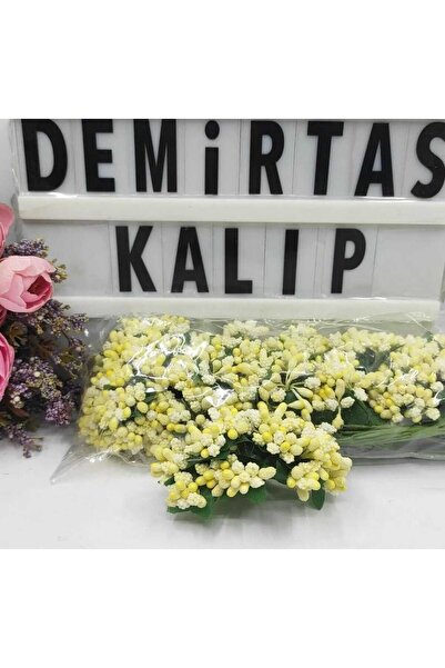SARI PITIRCIK