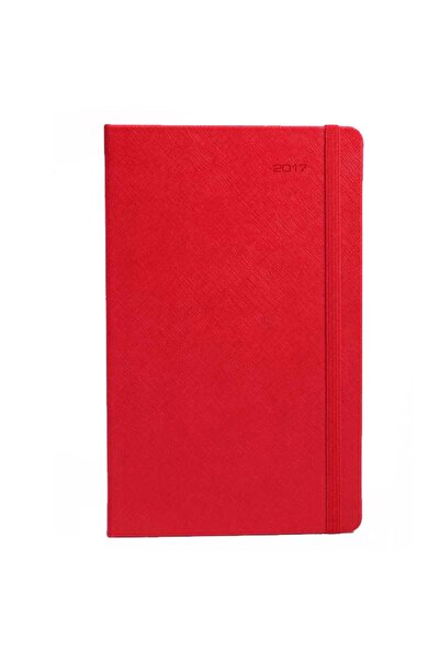 Fabio Ricci 2018 Günlük Ajanda Çizgili 1030  /