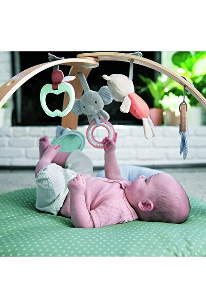 Ingenuity , Halı Kapitone Palestrina Aktiviteleri, Rahat Nokta Tınlı, Geri dönüşümlü, Ahşap oyuncak