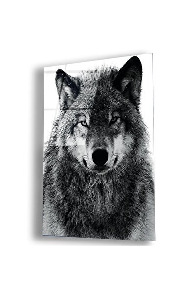 Zevahir Mobilya Dekorasyon Kırılmaz Cam Kurt Tablo