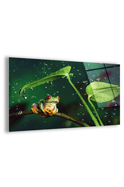 Zevahir Mobilya Dekorasyon Çerçevesiz Yatay Su Damlacıkları Ve Amazon Kurbağa...