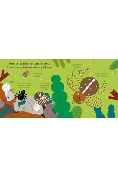 Pan Macmillan Spider (my Little Green World)