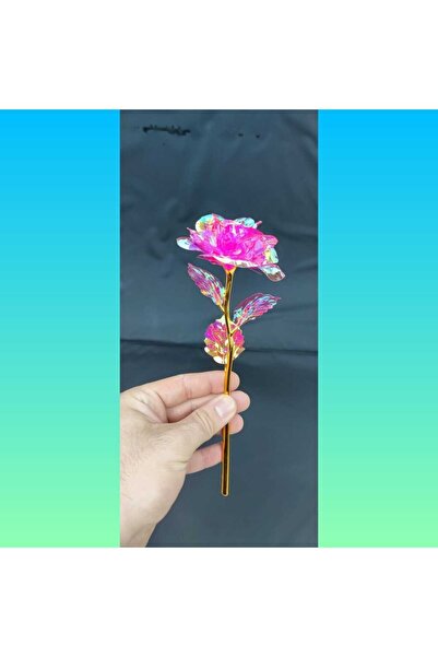 HKM Hobim وردة إنفينيتي ذات اللون الوردي الزاهي المزخرفة التي لا تبهت خاصة لع...