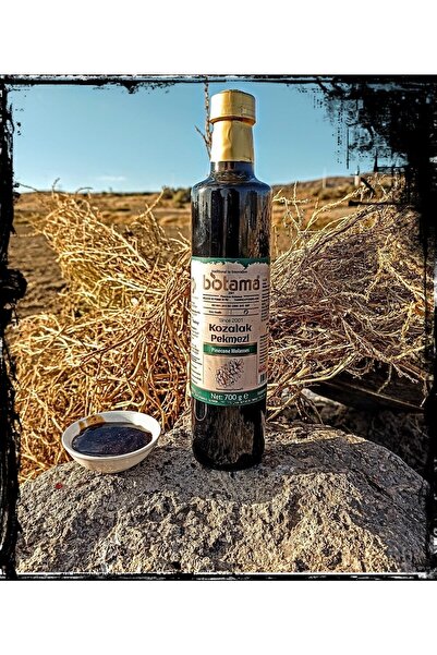 Biotama Çam Kozalağı Pekmezi 700 G %100 Doğal