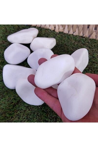 Ekodoğa Beyaz Dolomit Taş 25 Kg 4-6 Cm Dere Çakıl Taşı Bahçe Süs Taşı Saksı T...