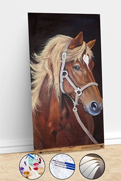 kendinyaphobi Sayılarla Boyama Seti Çerçeveli Kasnaklı Asil At 3 40 x 50 cm