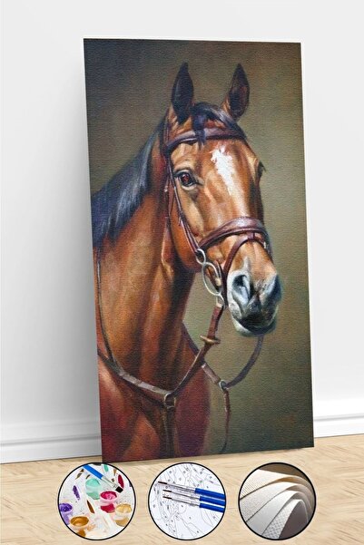 kendinyaphobi Sayılarla Boyama Seti Çerçeveli Kasnaklı Yalnız At 2 40 x 50 cm