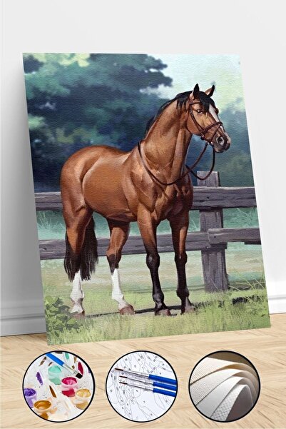 kendinyaphobi Sayılarla Boyama Seti Çerçeveli Kasnaklı Çiftlikteki At 60 x 75 cm