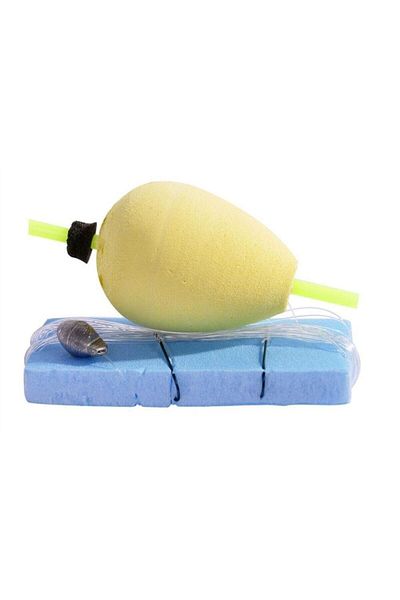 CAPTAIN 2-Needle Ready Carp Set with Pulley and Float