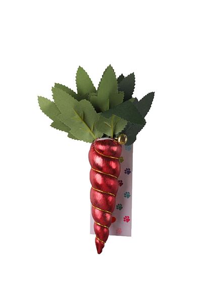 Glipet Leafy Carrot Shaped Cat Toy