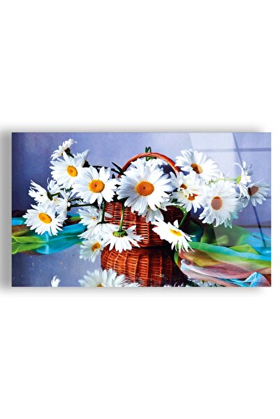 Zevahir Mobilya Dekorasyon Frameless Horizontal White Daisy Basket Unbreakabl...