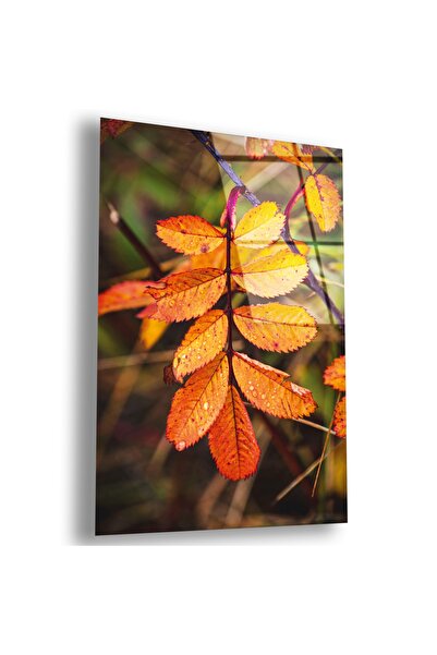 Zevahir Mobilya Dekorasyon Unbreakable Glass Colorful Leaf Table