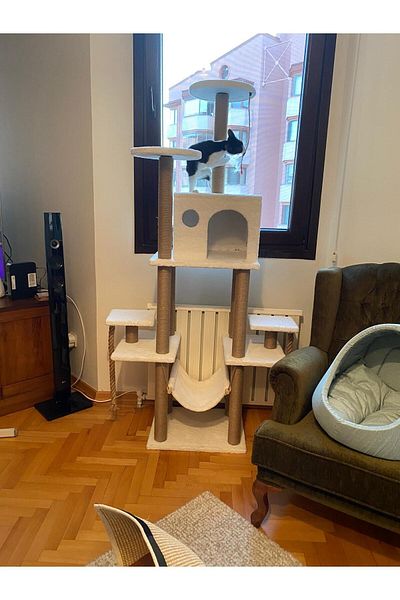 pethomealpi PETHOMEALPY Cat Scratching House and Play Platform 100% Warranty CUSTOMER MEMORY