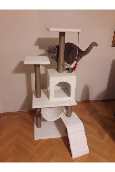 pethomealpi PETHOMEALPY Cat Scratching House and Play Platform 100% Warranty CUSTOMER MEMORY