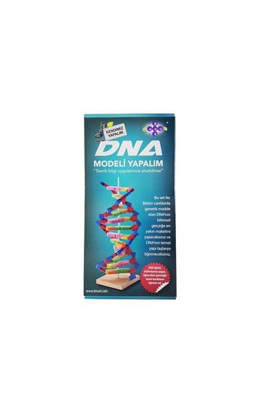 Hobi Eğitim Dünyası Let's Make Dna Model Experiment Set