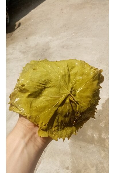 Egenin Lezzet Durağı Manisa Salamura Uç Yaprağı