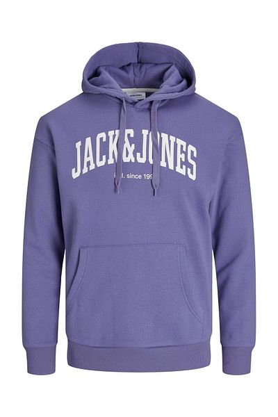 Jack & Jones JJeJosh Hooded Sweatshirt 12236513