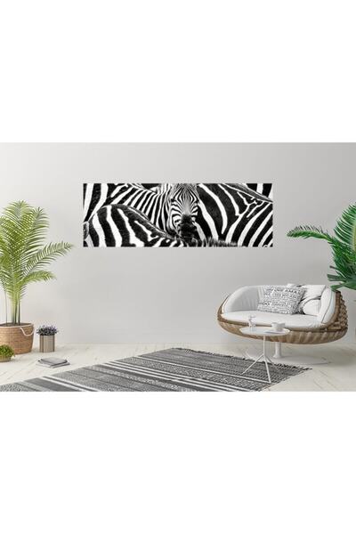 Tablo Deposu Zebra Kanvas Gülen Tablo