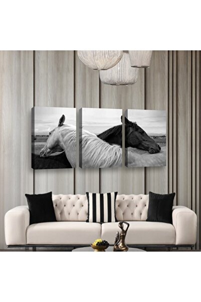 HDART At Temalı, Siyah Beyaz Aşk 3 Parçalı Kanvas Tablo